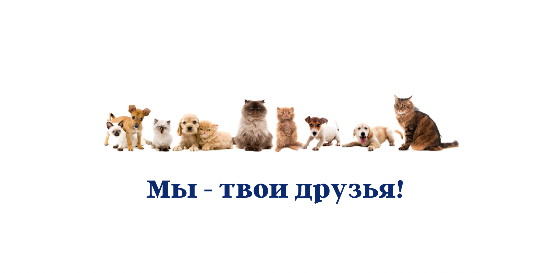 Доброта начинается в нас! Информация для педагогов. Доброта начинается в нас! Информация для педагогов.