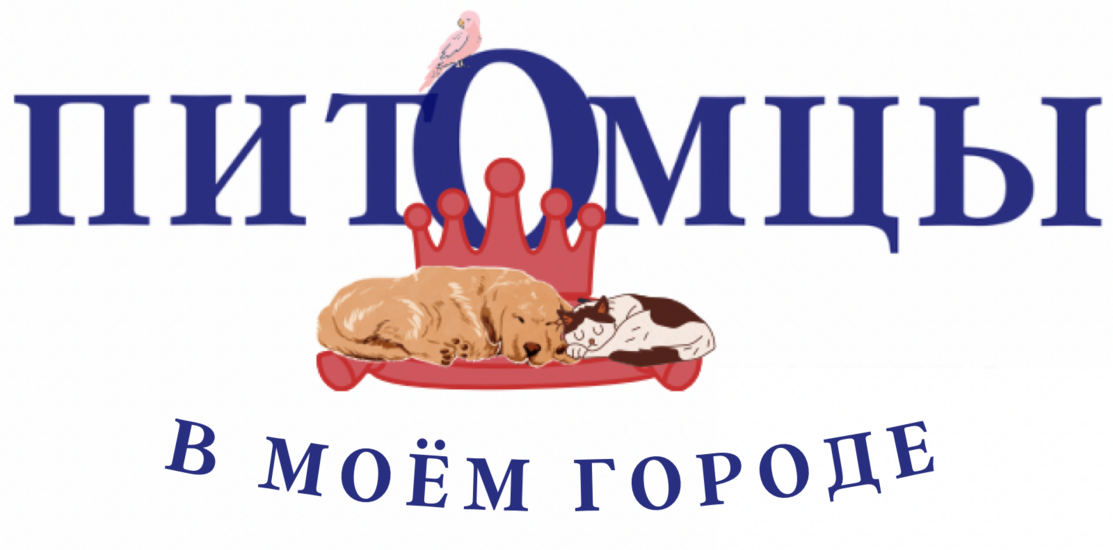 «Питомцы в моём городе» «Питомцы в моём городе»