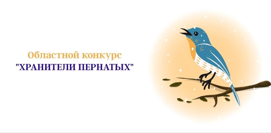 Итоги областного конкурса «Хранители пернатых»