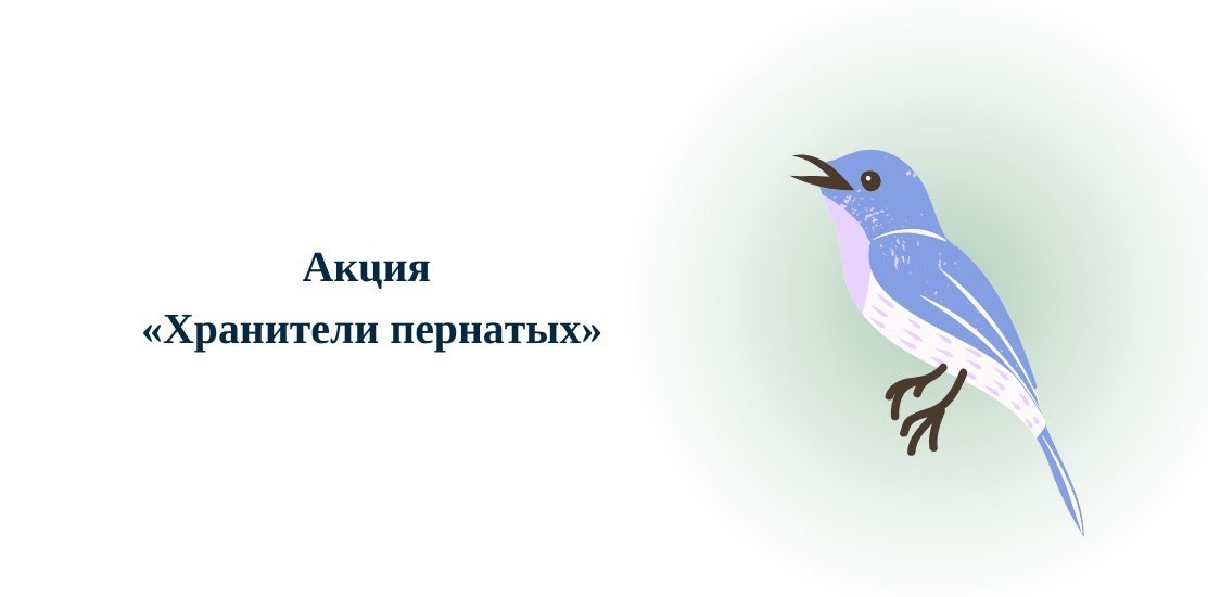 Акция Акция